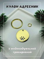 Кулон адресник, хромированный, с лапой, круглый, золотой