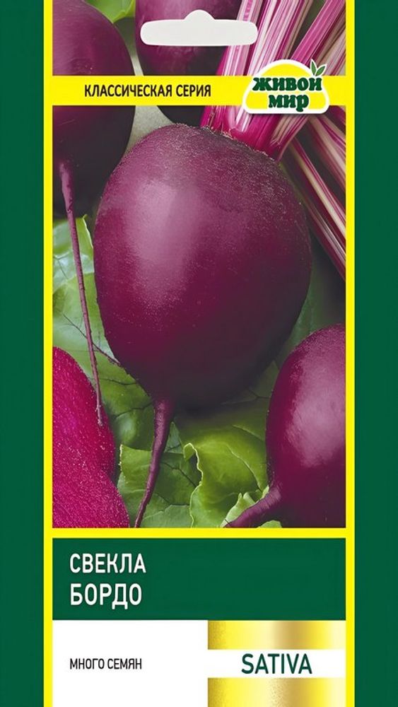 Свекла столовая "ЖМ. Бopдo" 20г, Германия.
