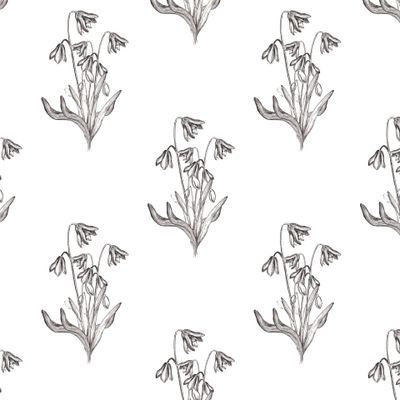 Полевые весенние цветы подснежники, графика,