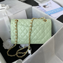 Chane1 Classic Flap Bag 25 cm
