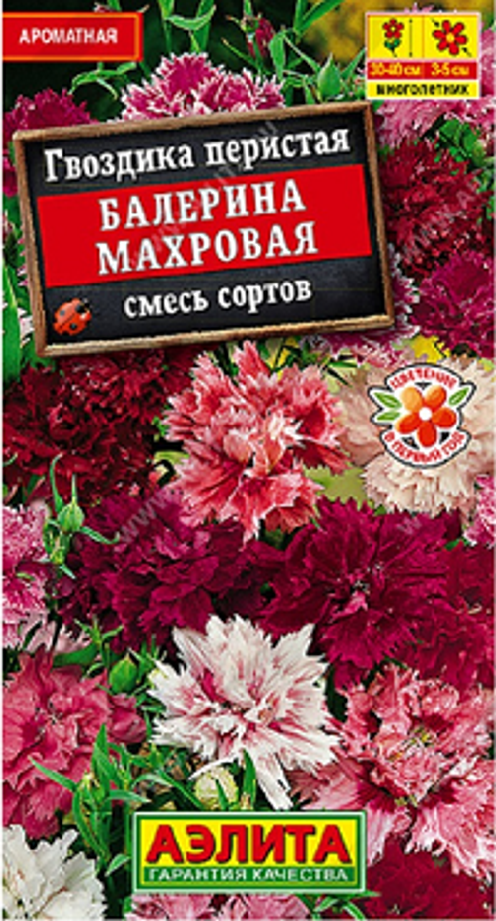 Гвоздика Балерина махровая, смесь сортов