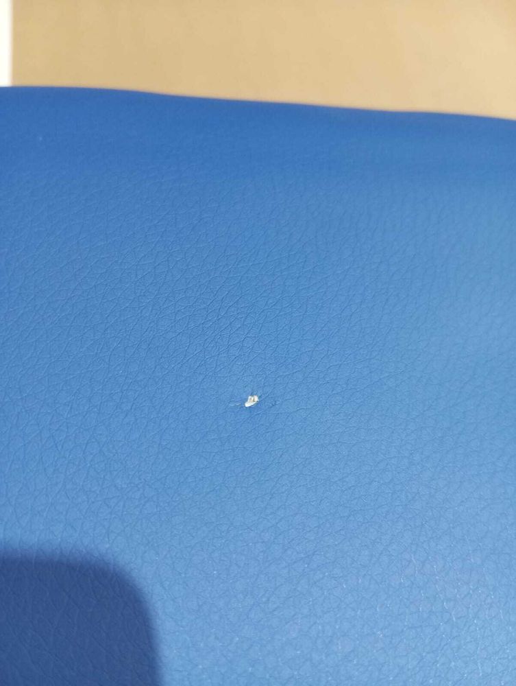 Массажный стол Laguna Уценка №114