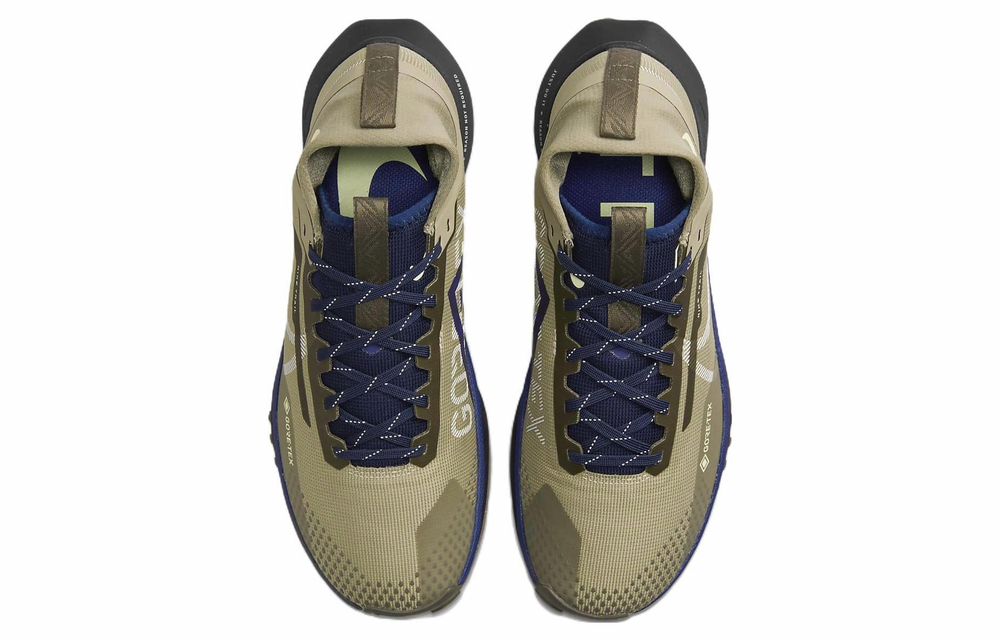 Кроссовки Nike Pegasus Trail 4 Gtx