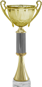 Кубок Викки