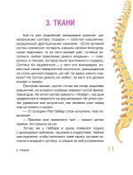 Сказочная анатомия