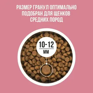 Сухой корм BOWL WOW для щенков средних пород со свежим ягненком, индейкой, рисом и брусникой Сухой корм BOWL WOW для щенков средних пород со свежим ягненком, индейкой, рисом и брусникой