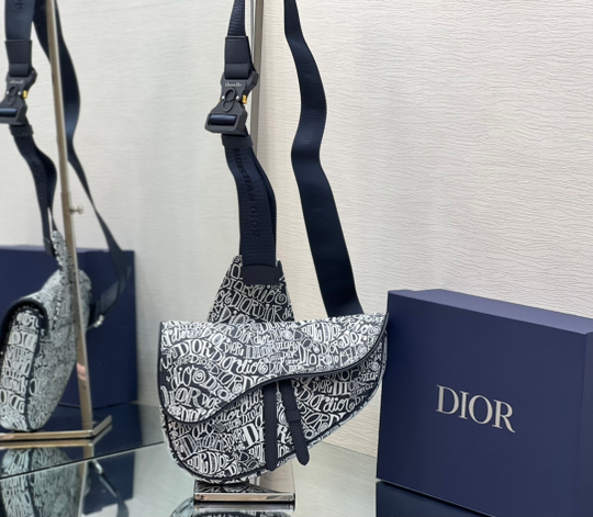 Christian Dior Saddle 26 cm