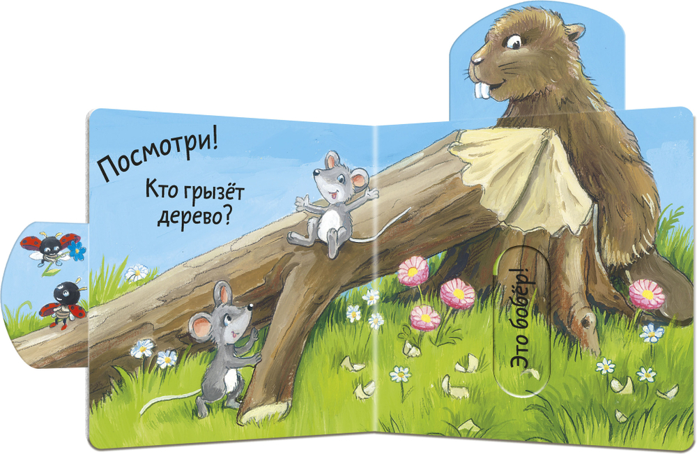 Вжух! Кто здесь?