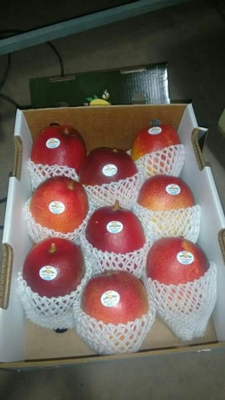 манго сорт "Tommy Atkins" - Бразилия