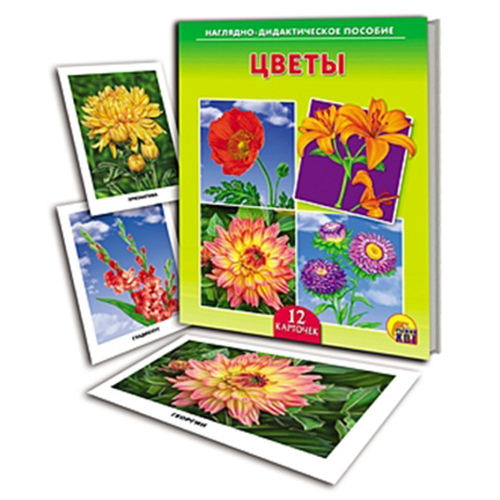 Наглядно-дидактическое пособие "Цветы". 12 карточек. 0+