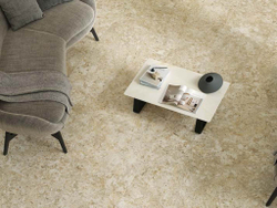 FORTE DEI MARMI QUARK