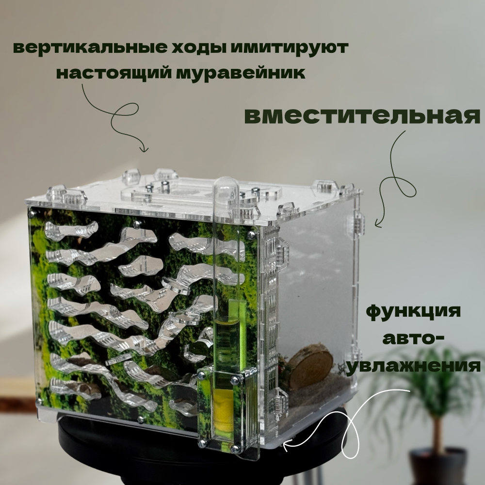 Большая ферма «Лесная» с муравьями в подарок! Натуральный природный декор