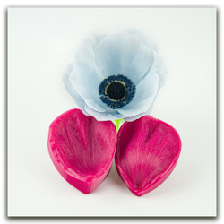 Лепестки анемона