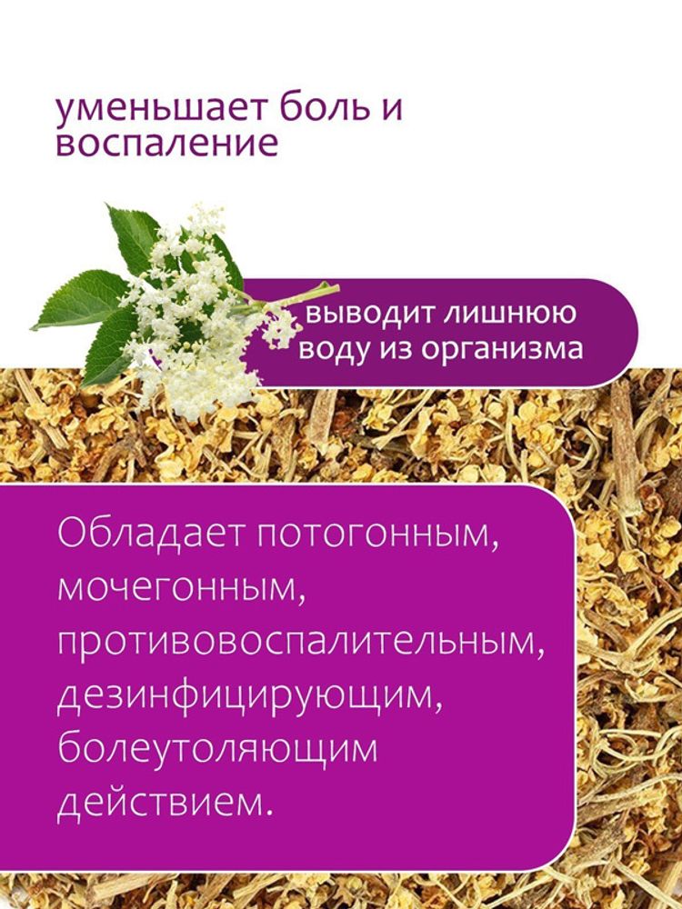 Бузина цвет
