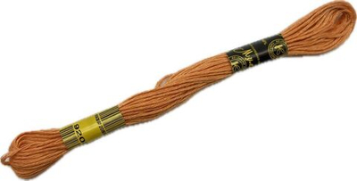 Нитки вышивальные Мулине 10м (9208)