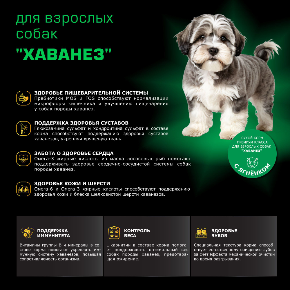 Корм сухой для взрослых собак породы Хаванез, с ягненком, 800 гр, QUATTRO