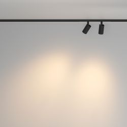 Трековый магнитный светодиодный светильник Maytoni Basity   TR176-1-2X5WTW-M-B