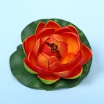 Растение водоплавающее «Кувшинка Розитта» d-10см оранжевая