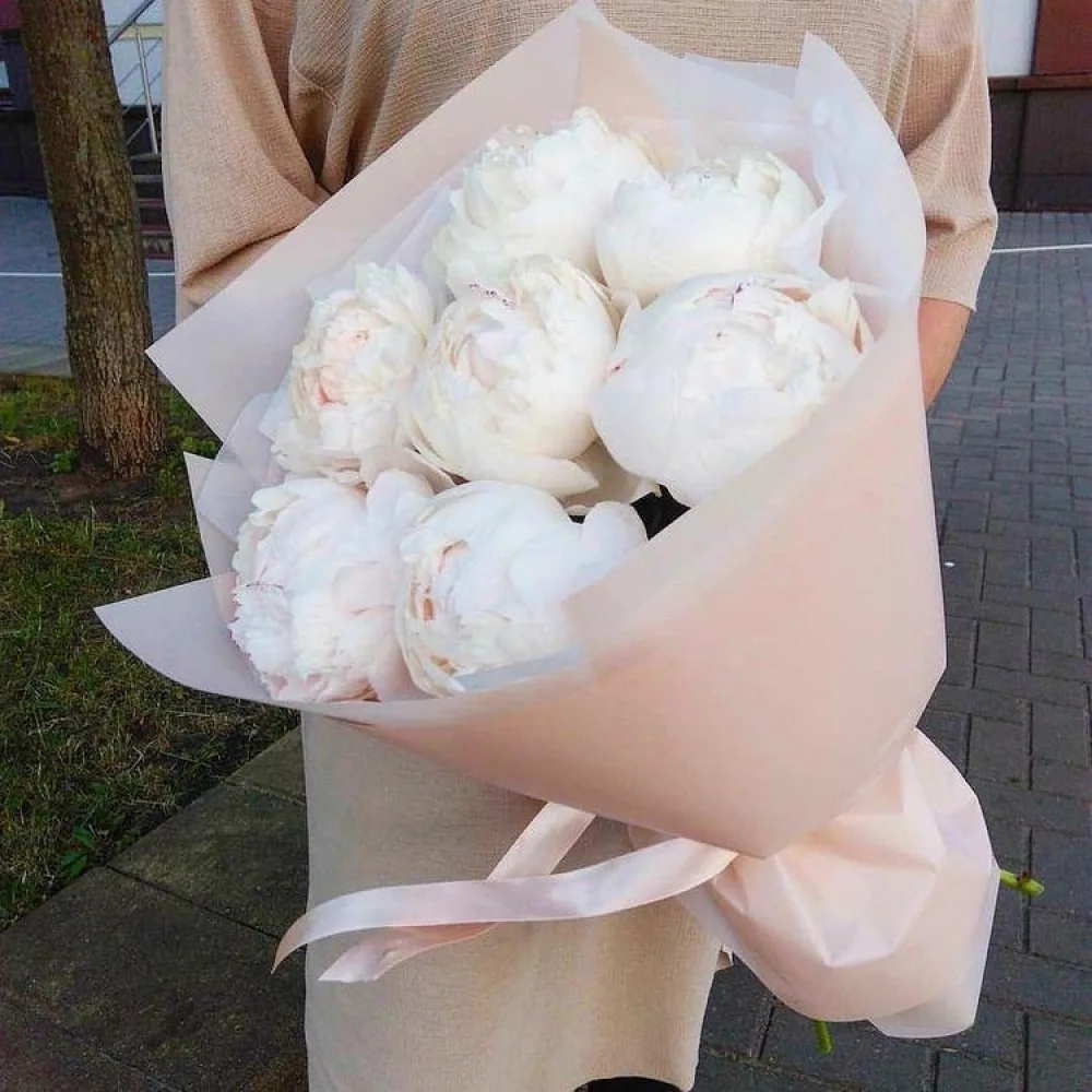 Белые пионы в оформление