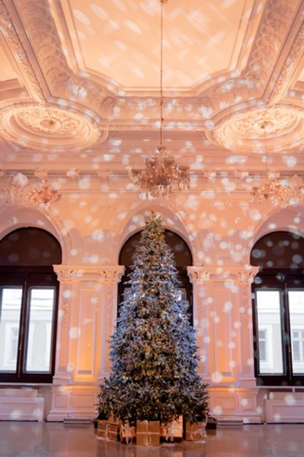 Новогодняя Ёлка в особняке