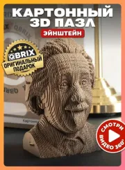 QBRİX Картонный 3D конструктор Ейнштейн