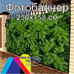 Фотобаннер 250х158 см для забора