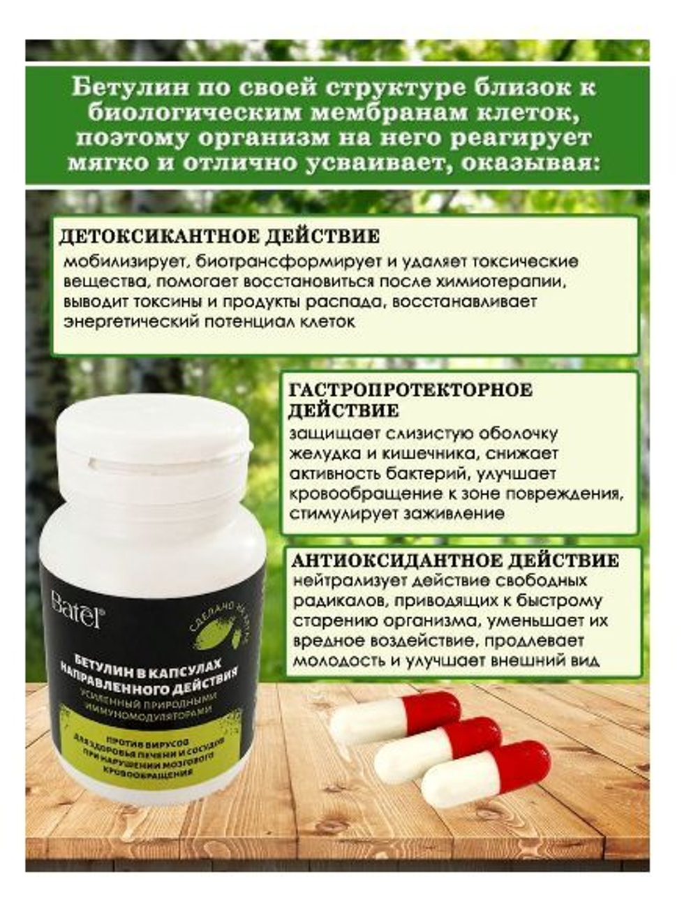 Batel. Бетулин, усиленный природными иммуномодуляторами