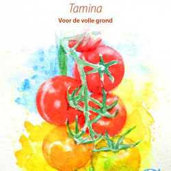 Помидоры Тамина Яблонька России - Tamina Tomato