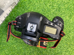 Canon EOS 1D Mark IV (334.000 кадров)