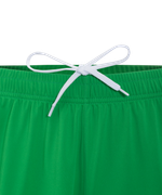 Шорты вратарские JOGEL NATIONAL PerFormDRY GK Shorts, зеленый