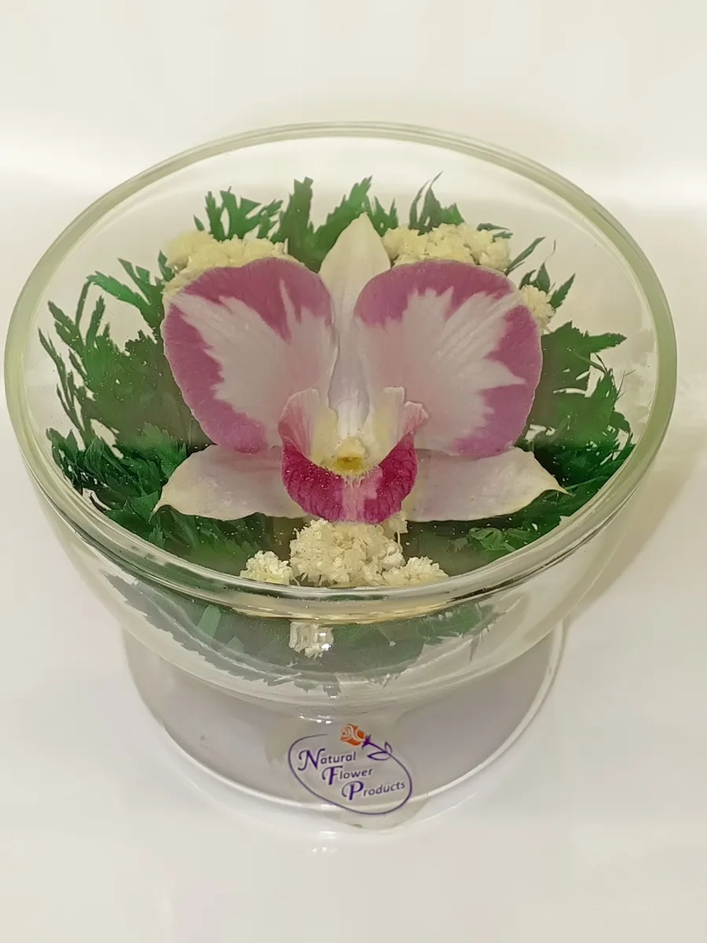 натуральные цветы в стекле, вакуум