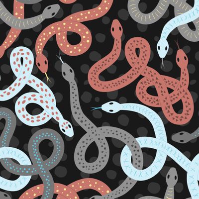 Амфисбена- двухголовая змея