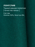 Лонгслив детский трикотажный демисезонный