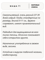 Семена огурцов Маша F1, 7 семян (Vita Green / Вита Грин)