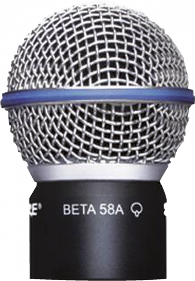 SHURE RPW118