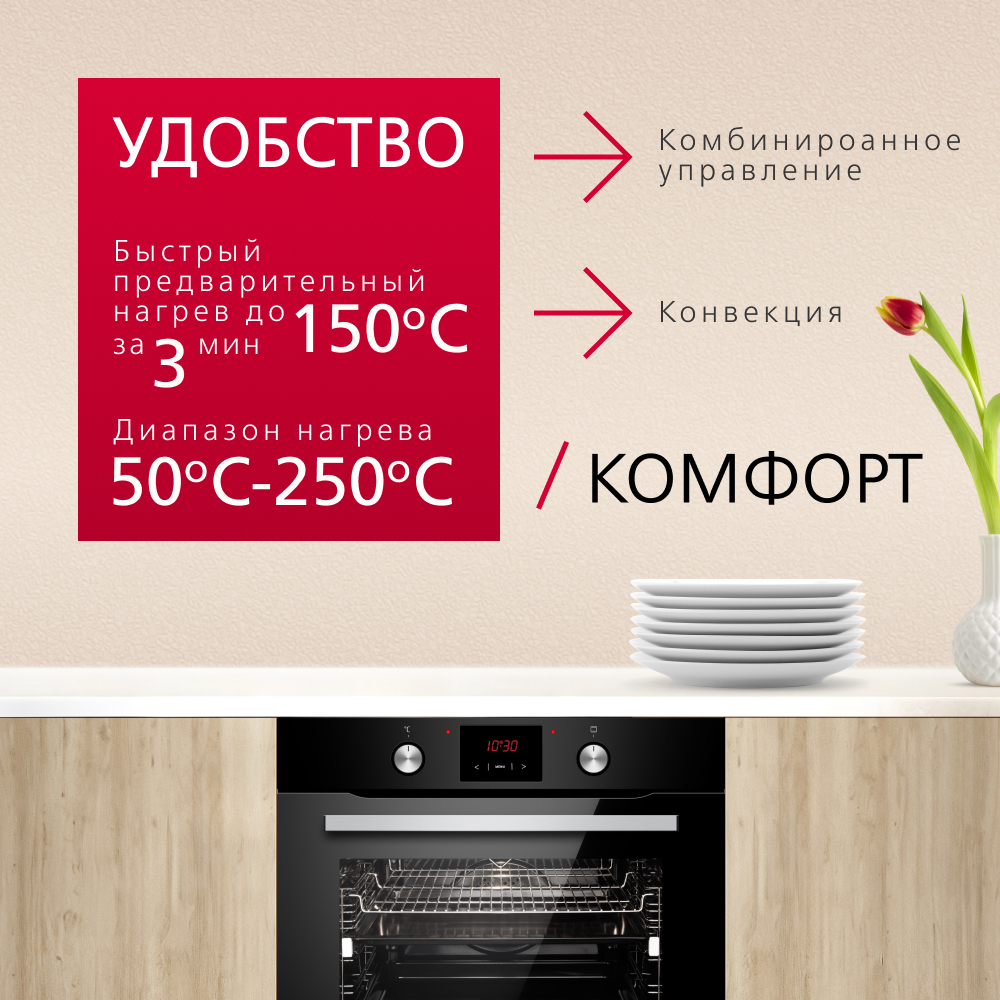 Духовой шкаф Hansa BakingPro BOESS694001