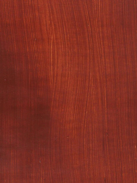 Масляная краска Болюс 40 мл