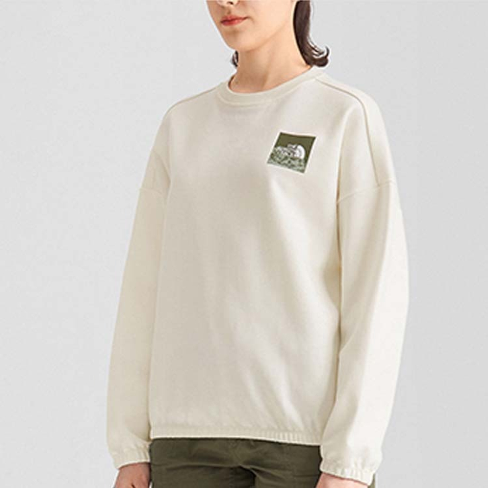 Толстовки THE NORTH FACE Logo, NF0A5JXC-N3N