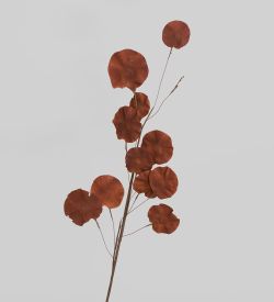 TRN 230 Цветной горошек