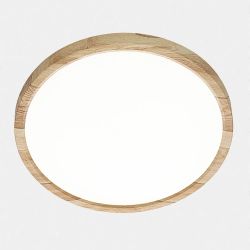 Citilux Бейсик CL738242V LED Светильник накладной Клён