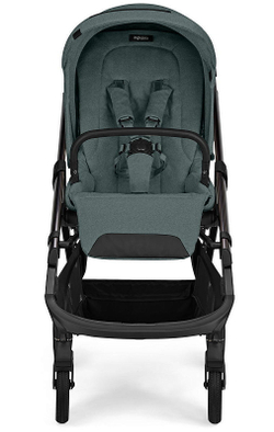 Прогулочная коляска Inglesina Aptica 2025 Emerald Green