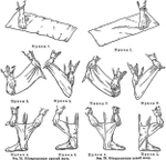 Портянки летние