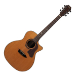Электроакустическая гитара Gopherwood K330RCE