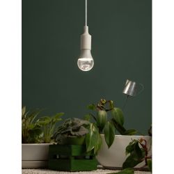 Фитолампа для растений светодиодная ЭРА FITO-25W-Ra90-E27 полного спектра 25 Вт Е27 | Фитолампы Е27