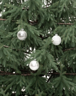 Искусственная елка Заповедная 240 см., 100% литая хвоя, ЕлкиТорг (267240)