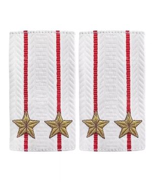 Фальшпогоны вышит. "Полиция МВД" нов\обр белые (Подполковник)