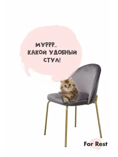 Стул "Мале" 1 шт. Антивандальная ткань, Золотые ножки