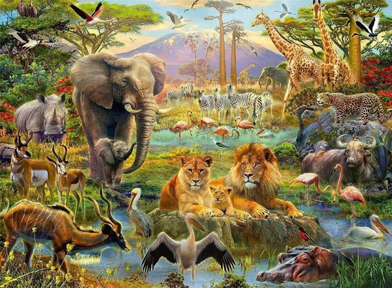 Puzzle Animals of the savanna