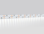 Светодиодная лента двухрядная GS1703 2835 240Led/ 24W m/ 12V IP20 6500K/ 5000*10*1.2mm/ кратность резки 25mm (2 конт.)