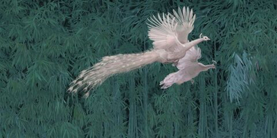 Фреска Applico, коллекция Natura